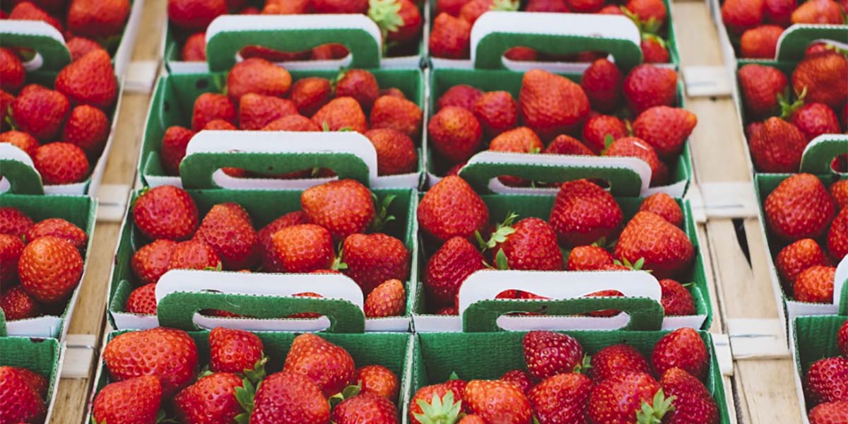 Migros Turchia: testata nuova tecnologia per gestire la shelf-life delle fragole